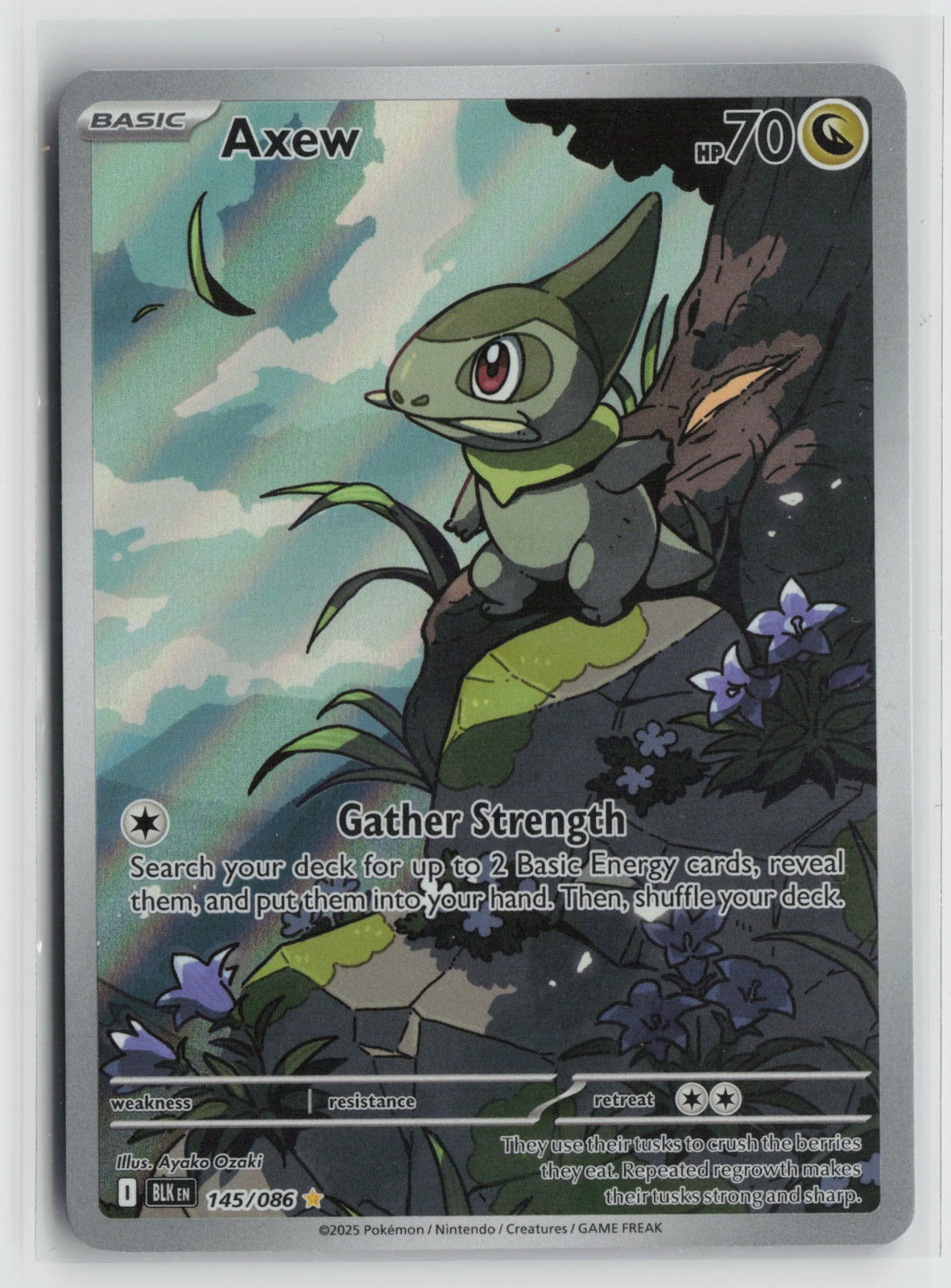 Axew Illustration Rare Holo BLK 145/086 NM