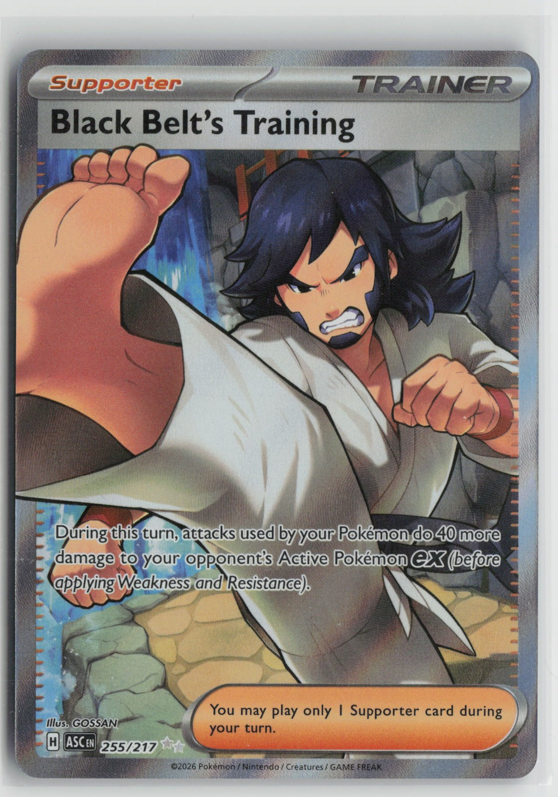 Black Belt's Training Ultra Rare Holo ASC 255/217 NM