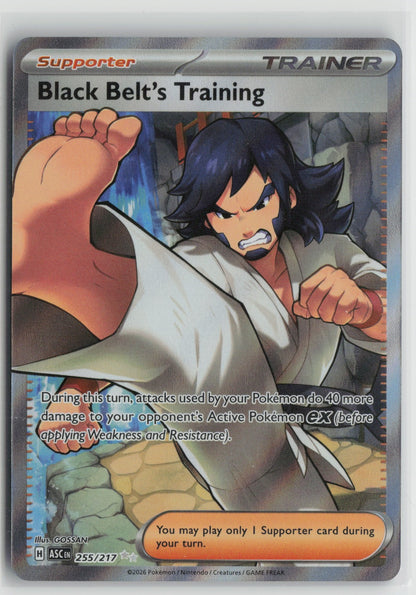 Black Belt's Training Ultra Rare Holo ASC 255/217 NM