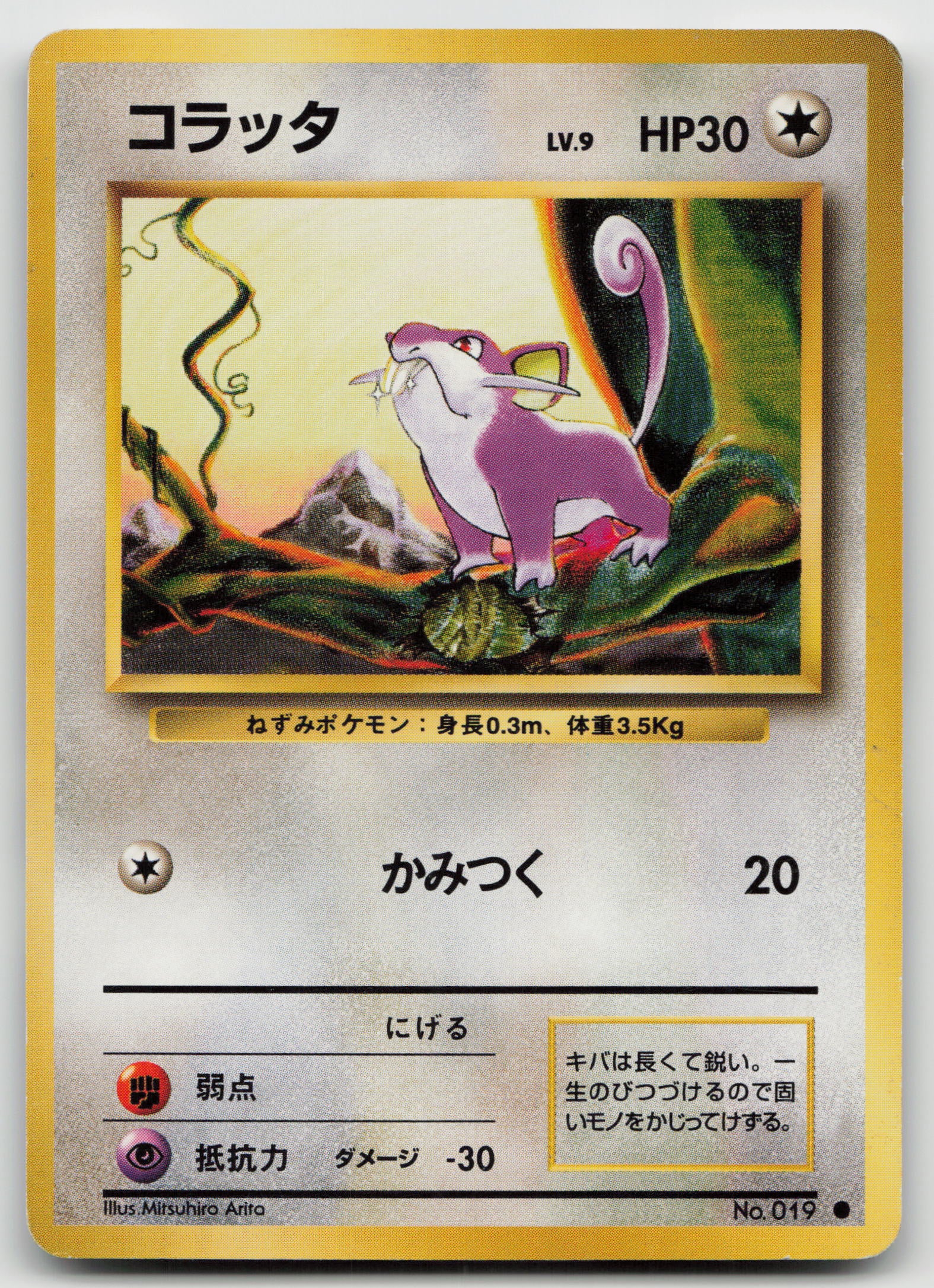 Rattata Common Normal MP