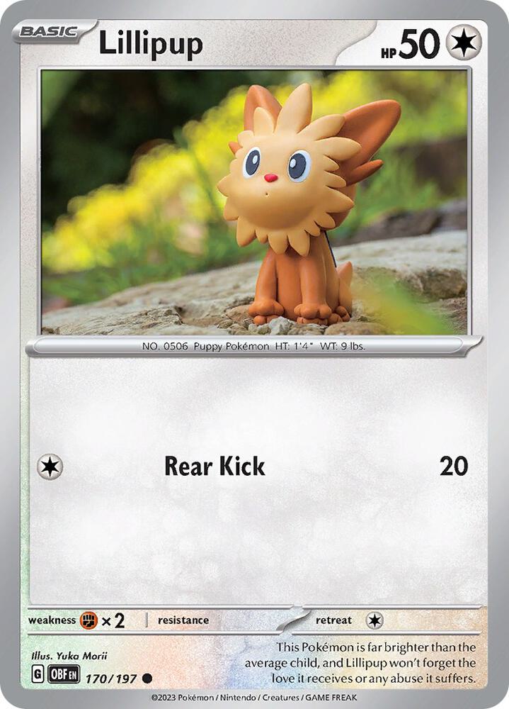 Lillipup Common Regular OBF 170/197 NM