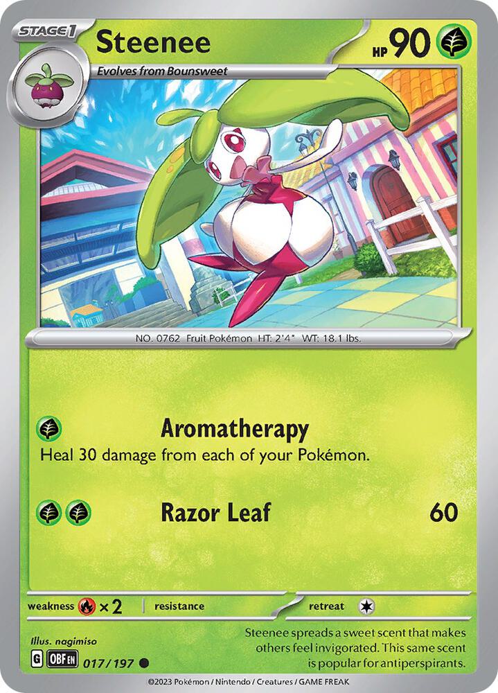 Steenee Common Regular OBF 017/197 NM