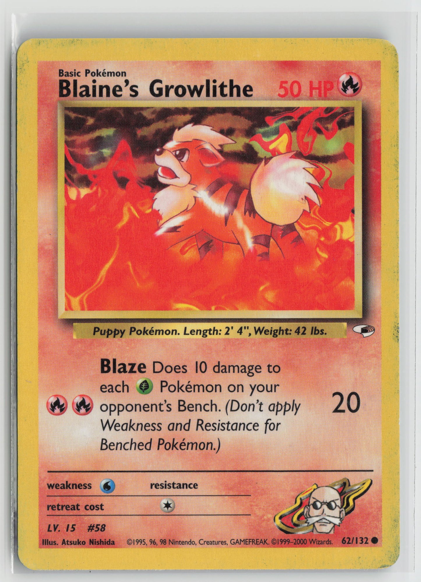 Blaine's Growlithe (62) Common Unlimited G1 062/132 MP