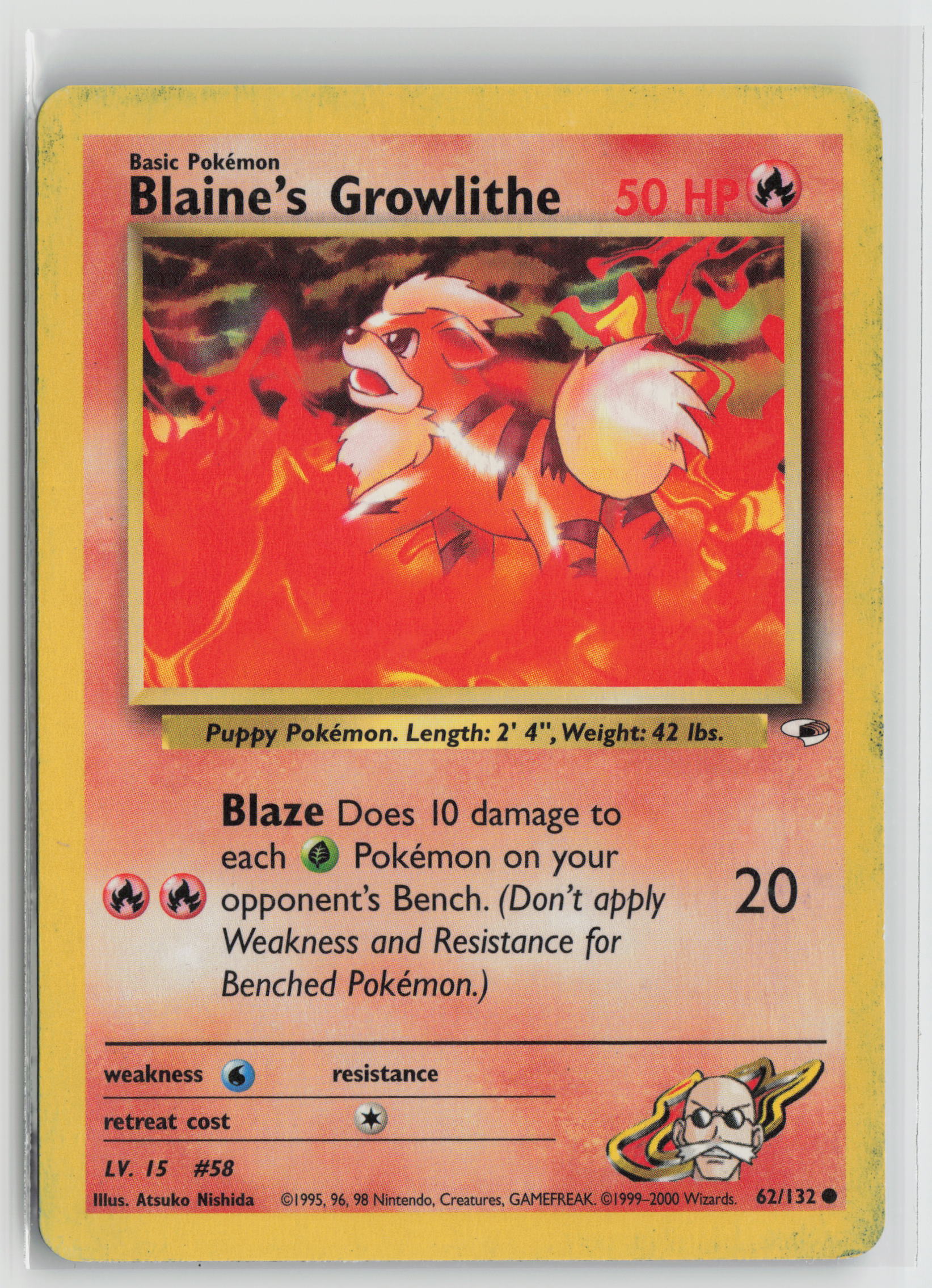 Blaine's Growlithe (62) Common Unlimited G1 062/132 MP