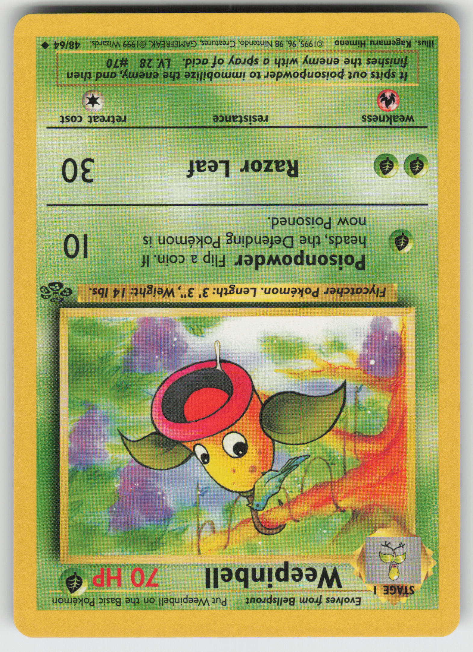Weepinbell Uncommon Jungle 48/64 LP
