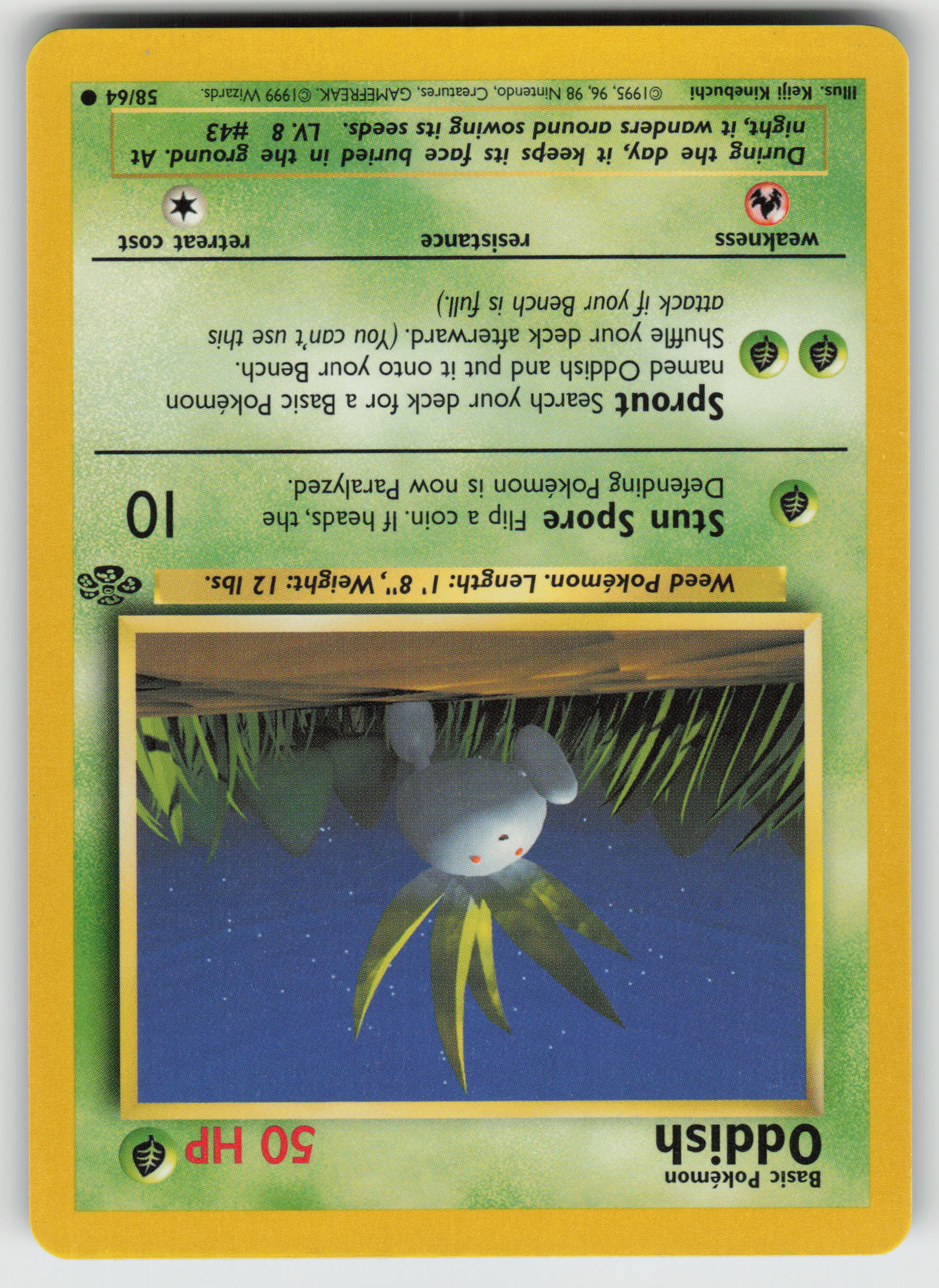 Oddish Common Jungle 58/64 LP