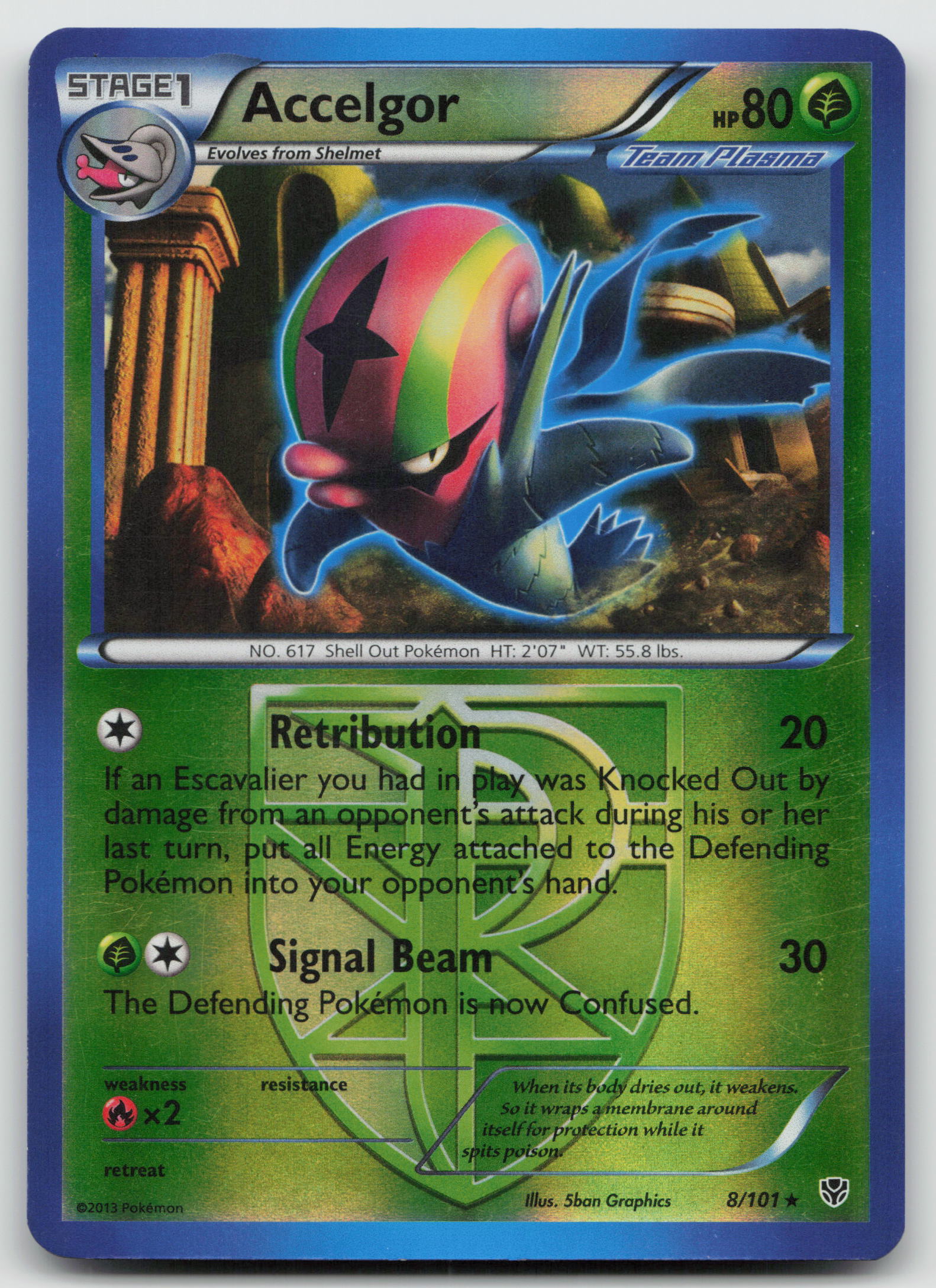 Accelgor (Team Plasma) Rare Reverse Holo PLB 8/101 HP