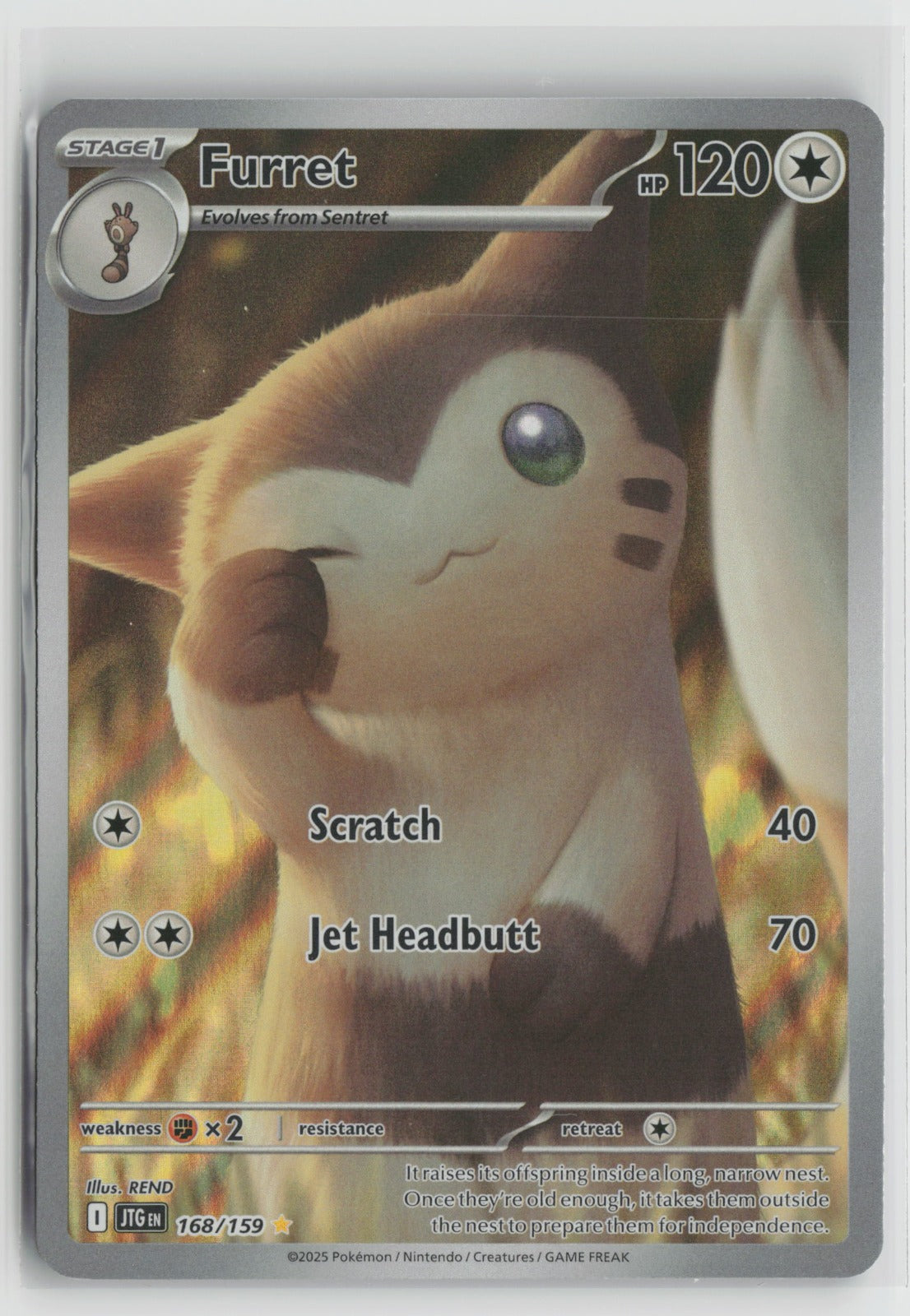 Furret Illustration Rare Holo JTG 168/159 NM