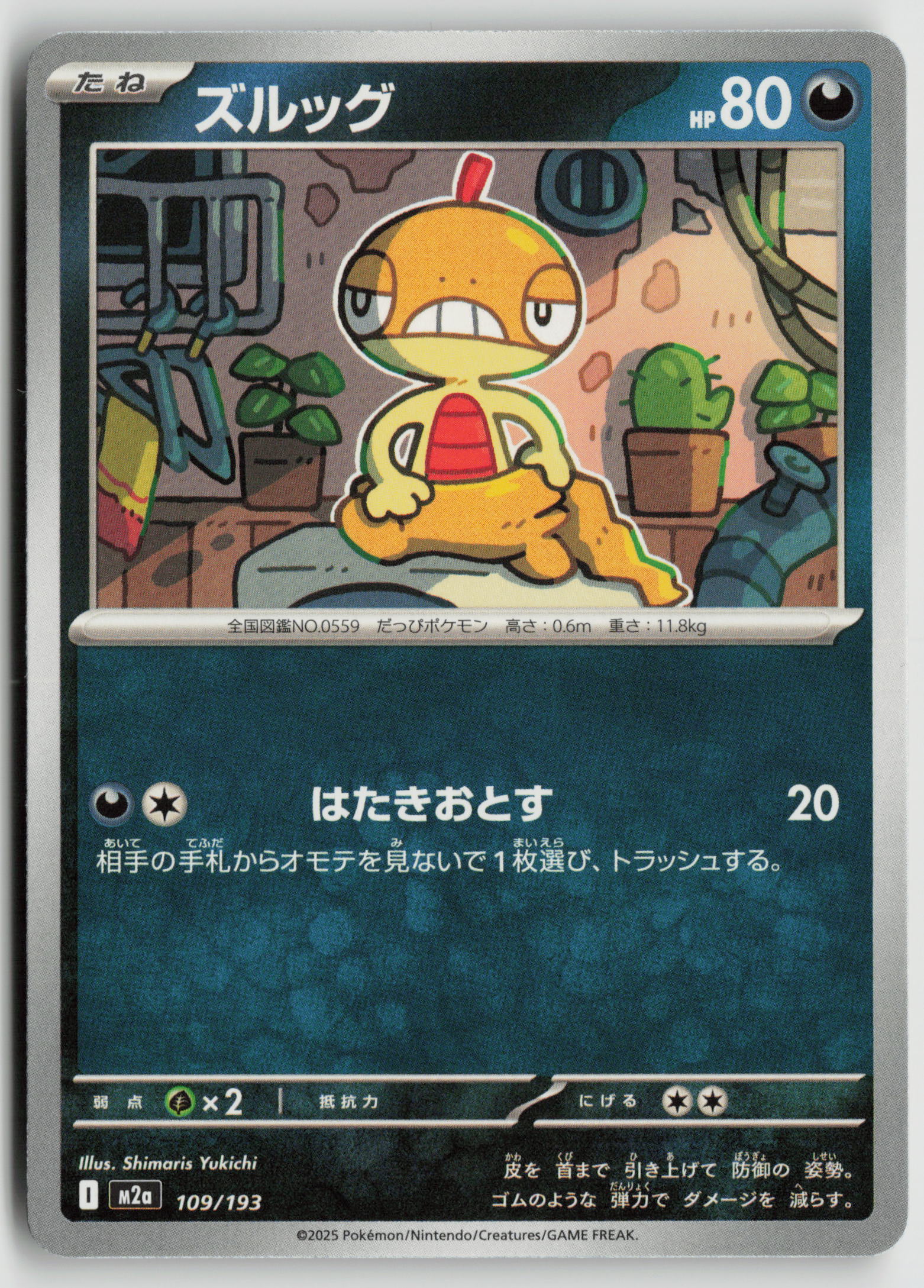 Scraggy M2a: High Class Pack: MEGA Dream ex 109/193 NM