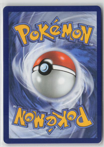 Shroodle - Illustration Rare Holo MEG 149/132 NM (Back)