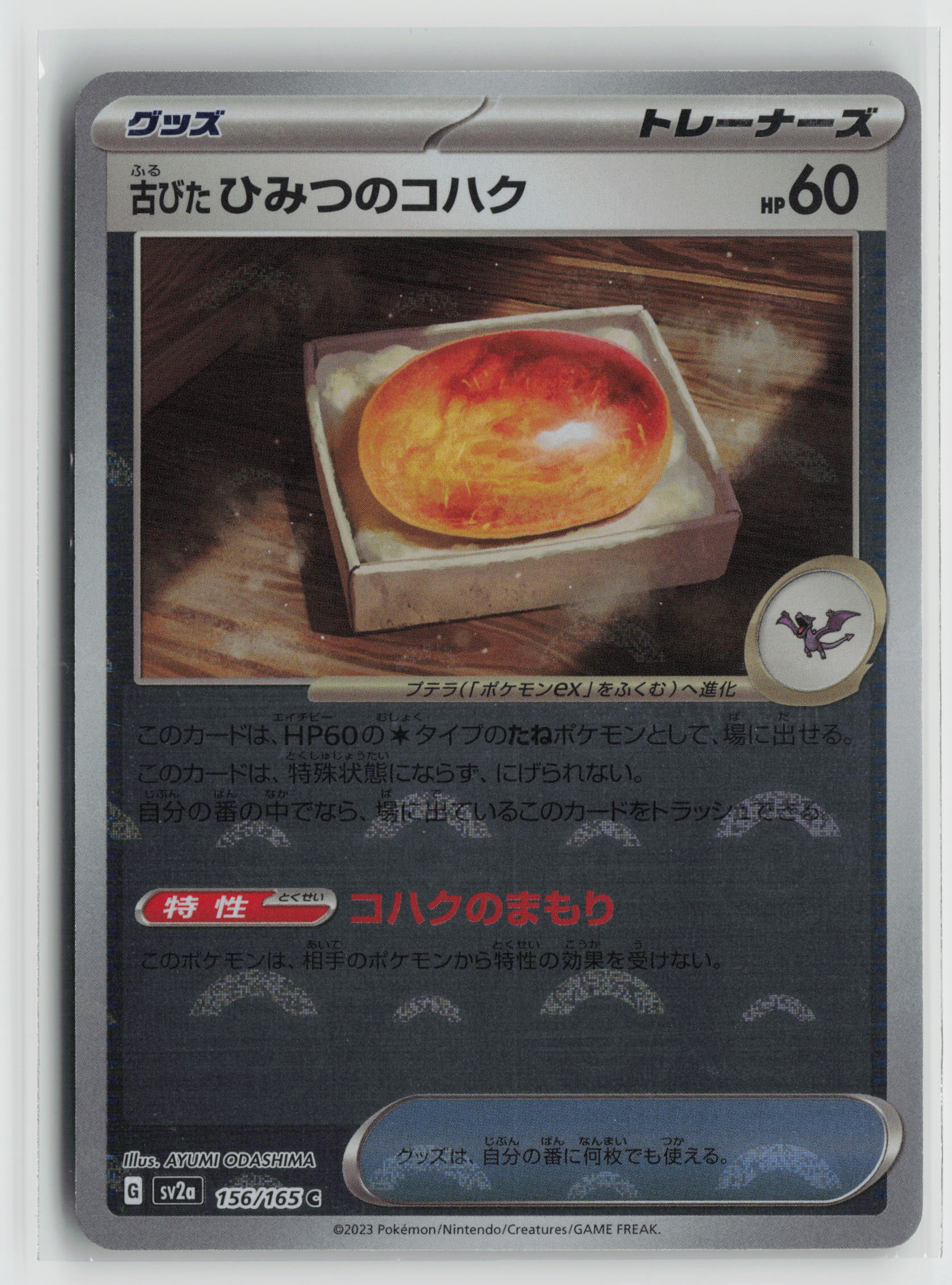 Antique Old Amber (Poke Ball Pattern) Common SV2a: Pokemon Card 151 156/165 NM