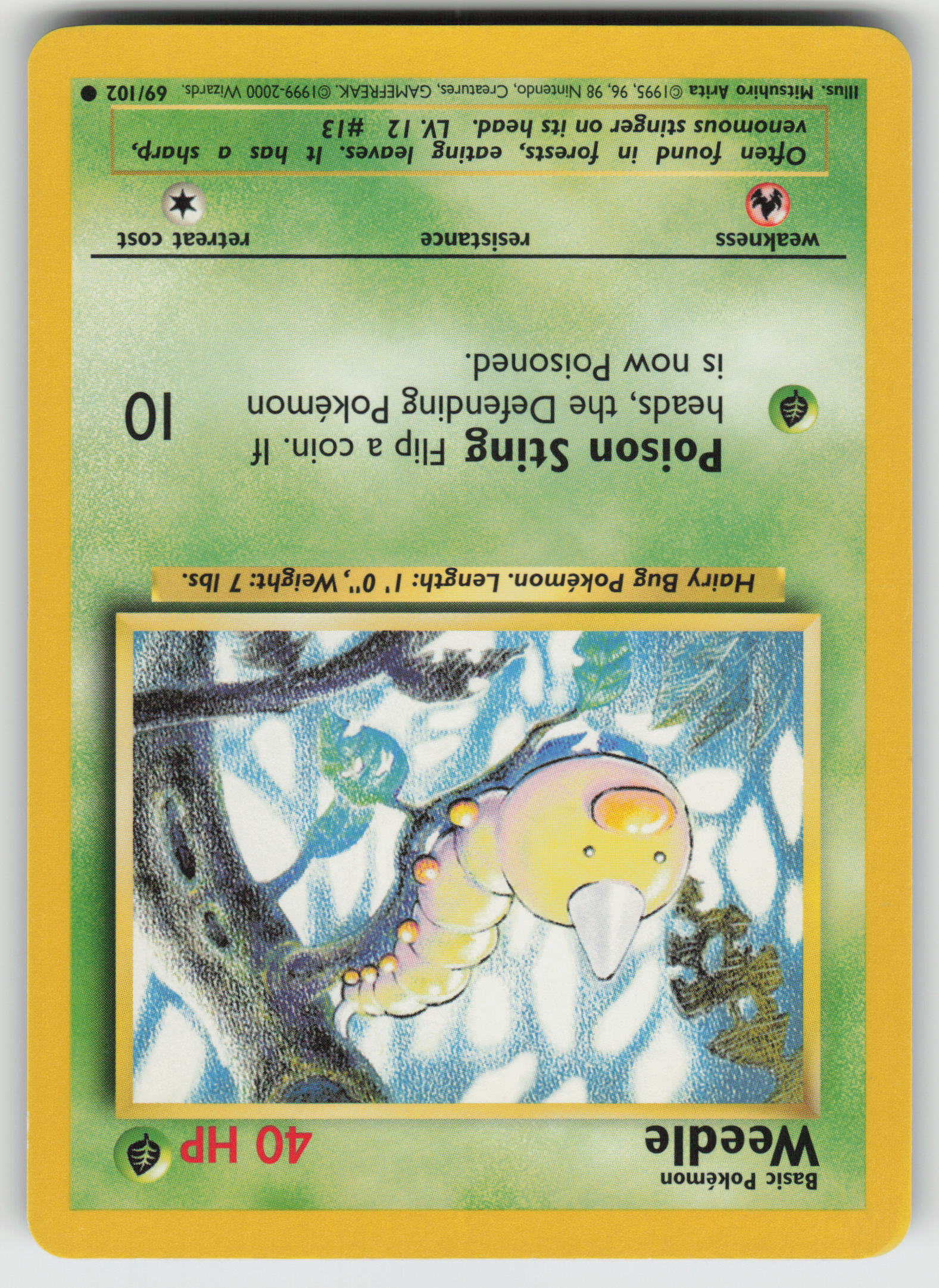 Weedle Common Base Set 069/102 LP
