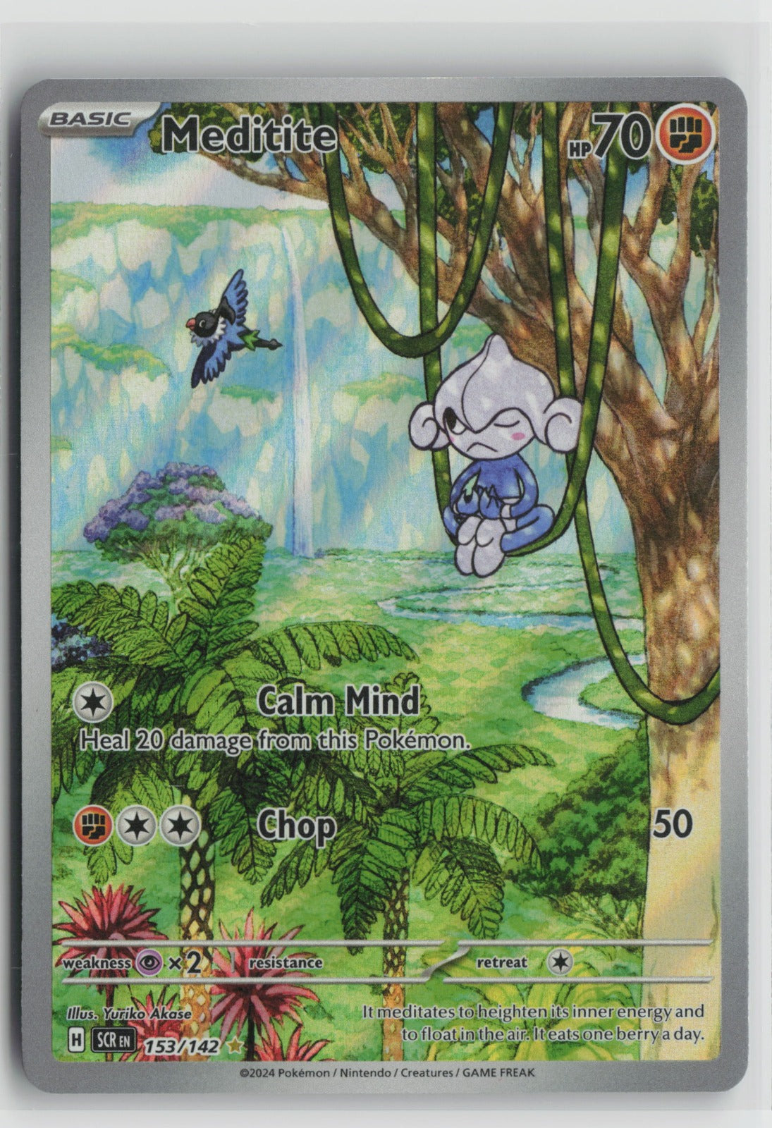 Meditite Illustration Rare Holo SCR 153/142 NM