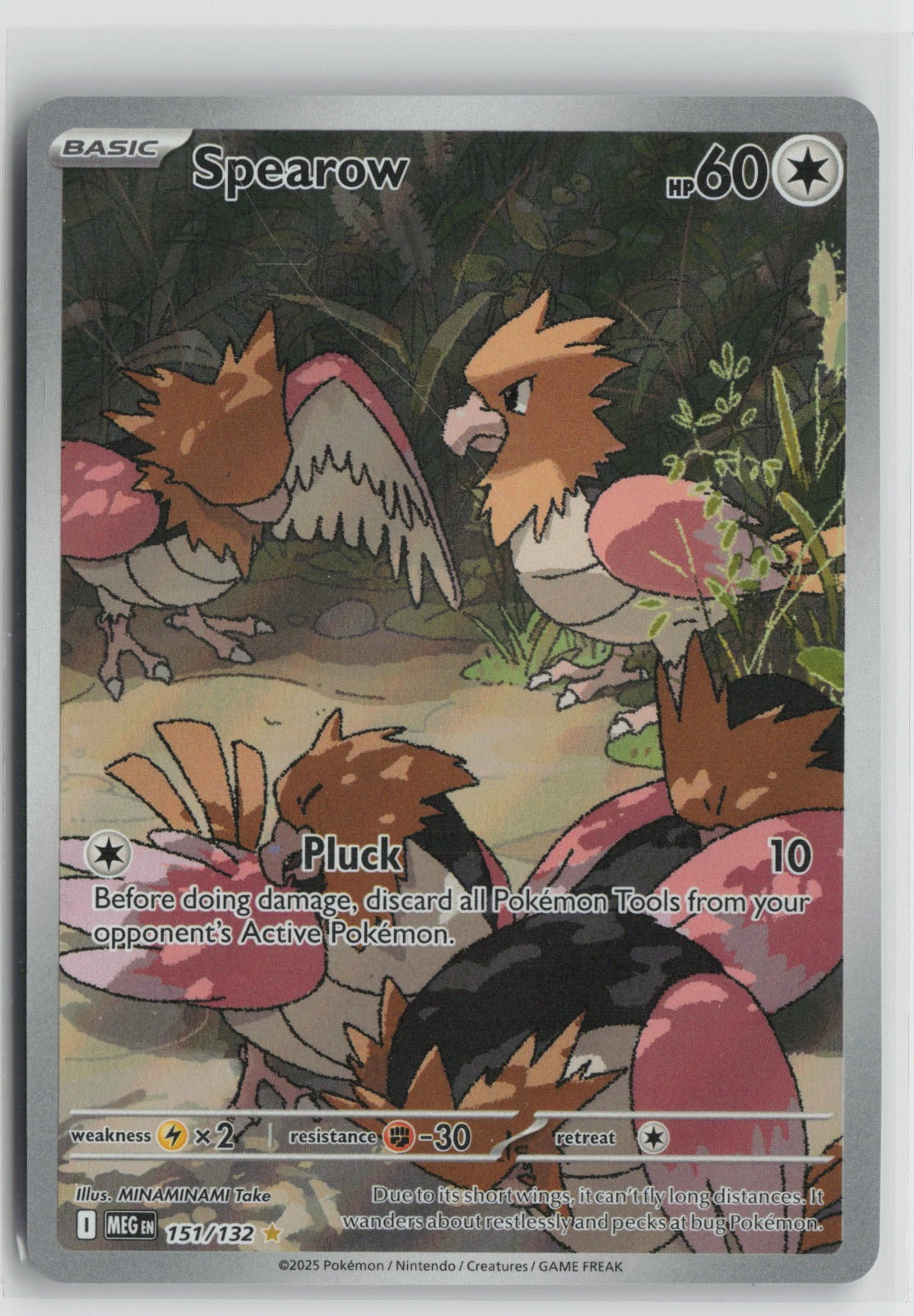 Spearow Illustration Rare Holo MEG 151/132 NM