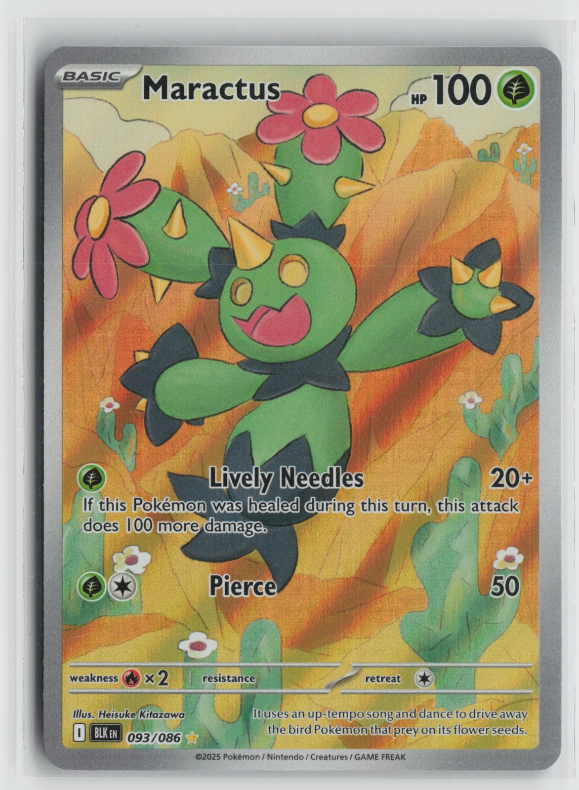 Maractus Illustration Rare Holo BLK 093/086 NM