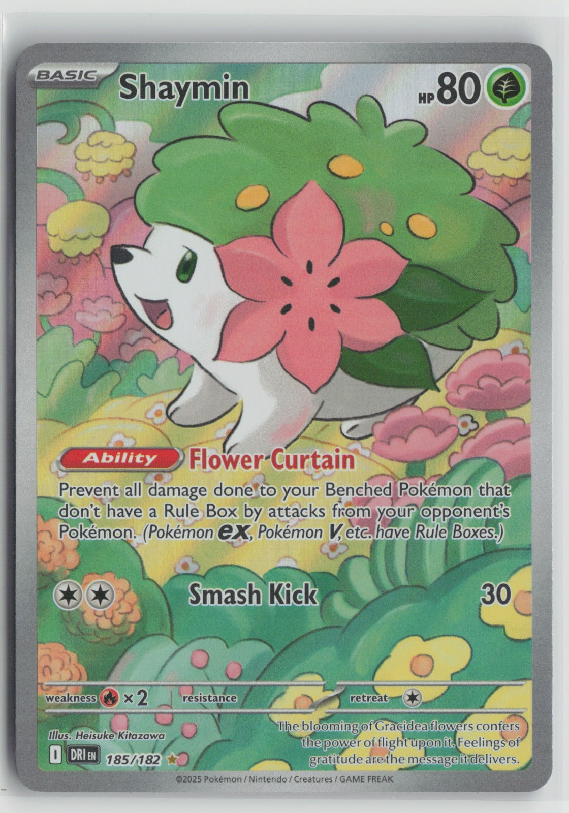 Shaymin Illustration Rare Holo DRI 185/182 NM