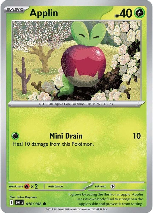 Applin Common Regular DRI 016/182 NM