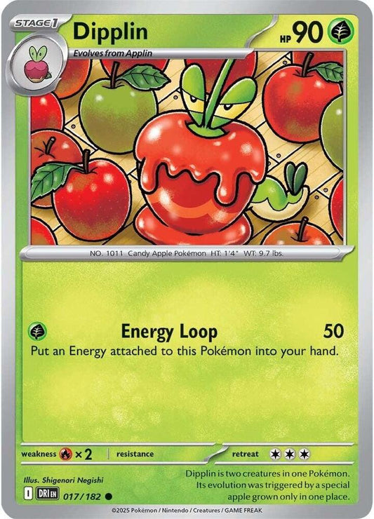 Dipplin Common Regular DRI 017/182 NM