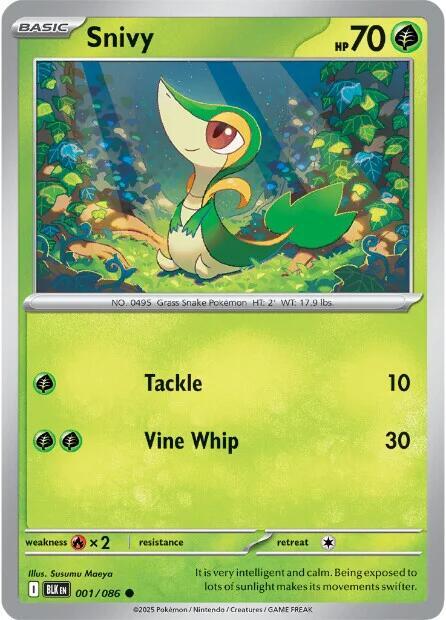 Snivy Common Regular BLK 001/086 NM
