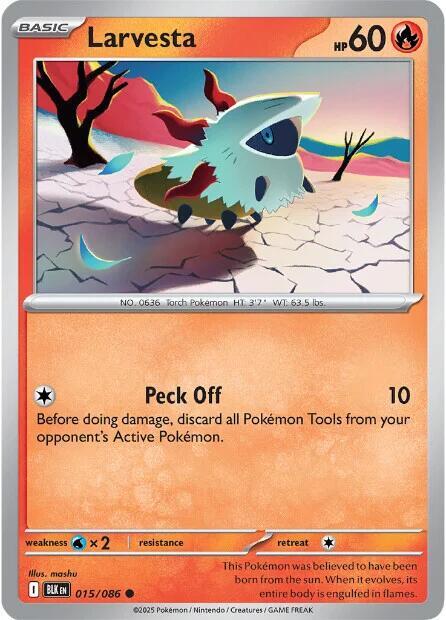 Larvesta Common Regular BLK 015/086 NM