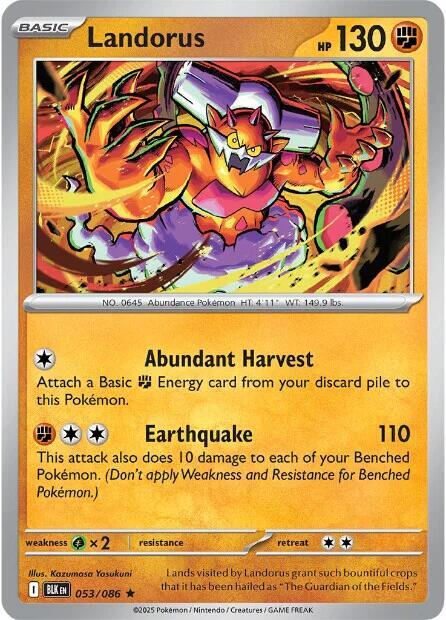Landorus Rare Holo BLK 053/086 NM