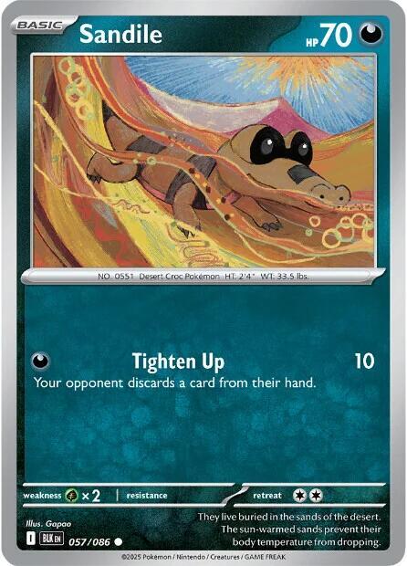 Sandile Common Regular BLK 057/086 NM