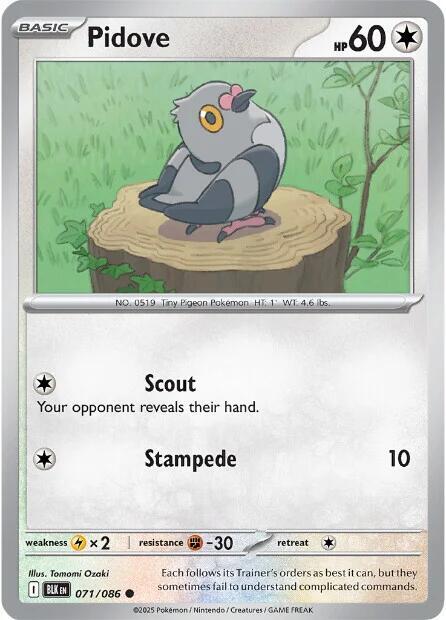 Pidove Common Reverse Holo BLK 071/086 NM