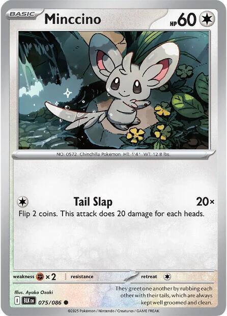 Minccino Common Regular BLK 075/086 NM