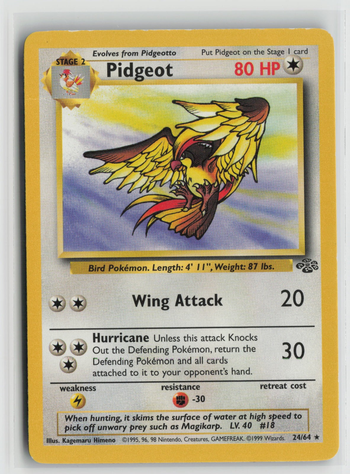 Pidgeot (24) Rare Unlimited JU 24/64 HP