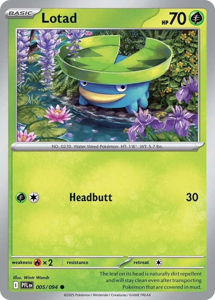 Lotad Common Reverse Holo PFL 005/094 NM