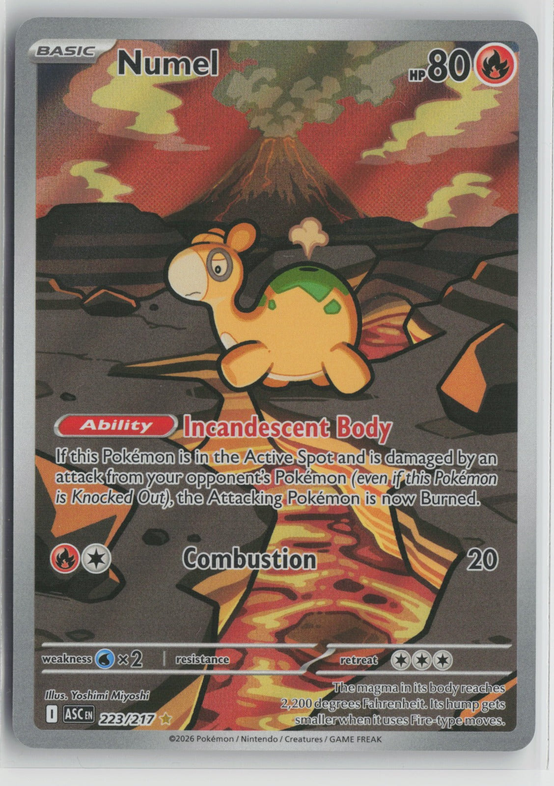 Numel - Illustration Rare Holo ASC 223/217 NM