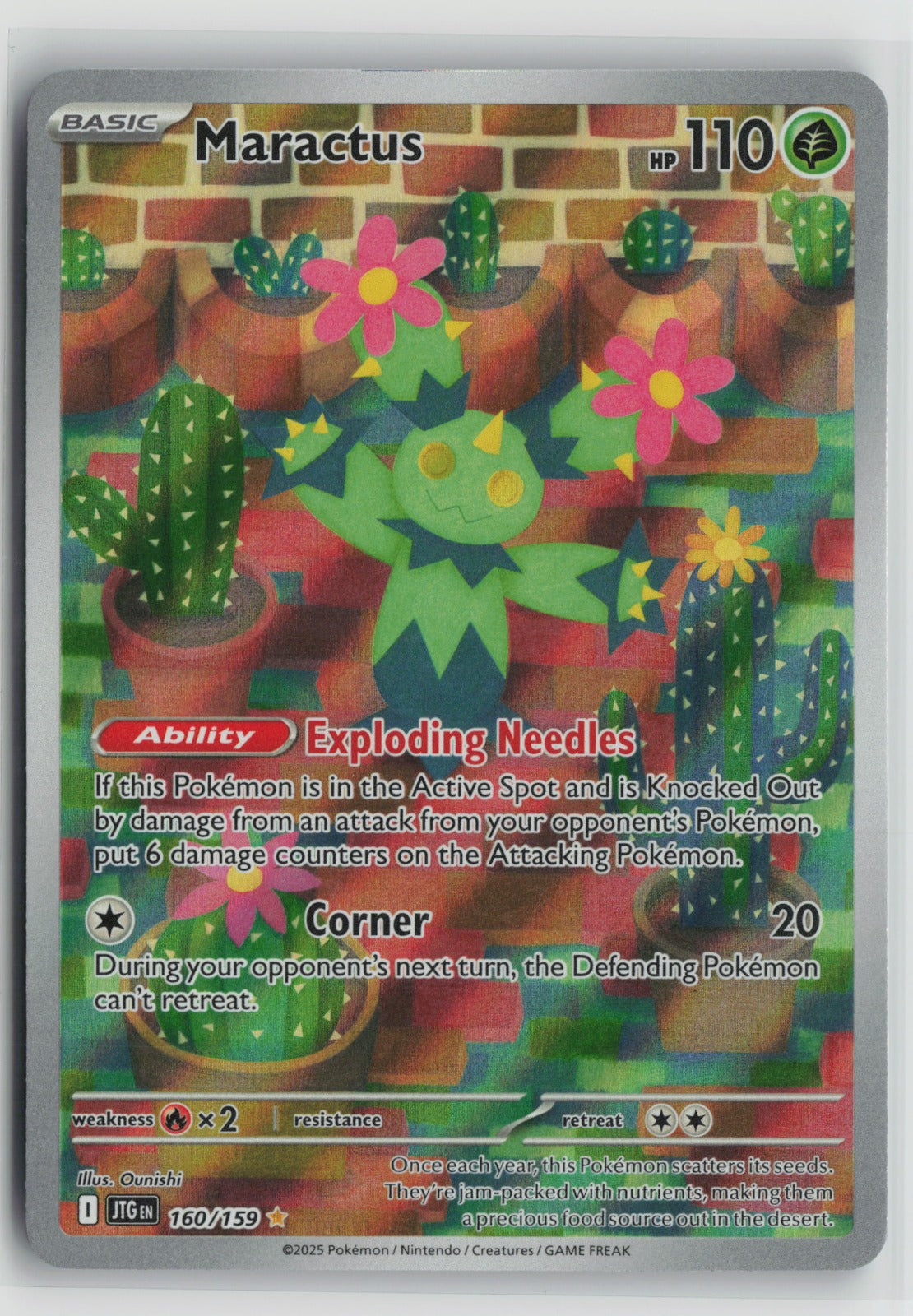 Maractus - Illustration Rare Holo JTG 160/159 NM