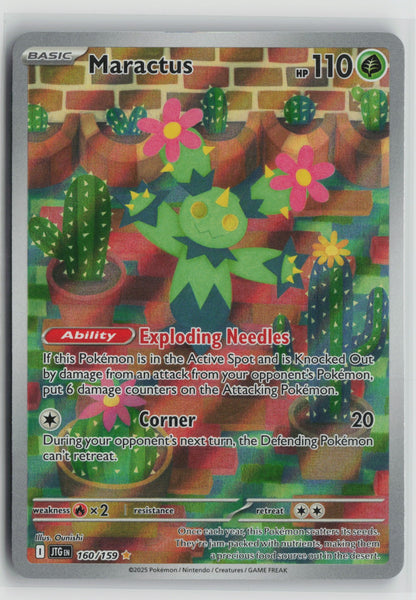 Maractus - Illustration Rare Holo JTG 160/159 NM