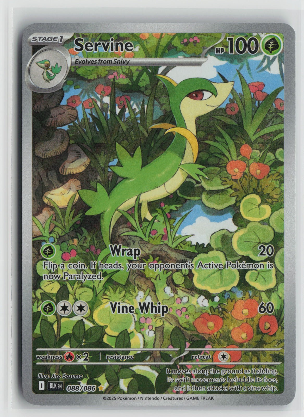 Servine Illustration Rare Holo BLK 088/086 NM