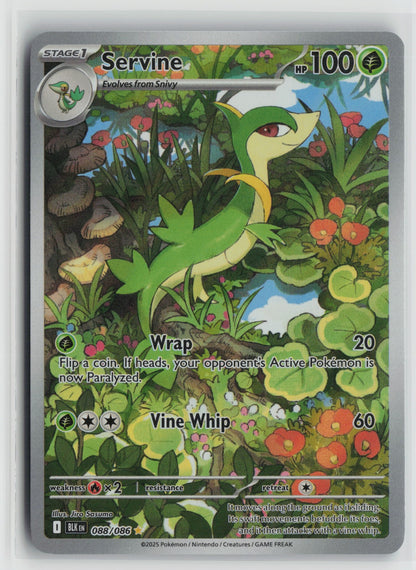 Servine Illustration Rare Holo BLK 088/086 NM