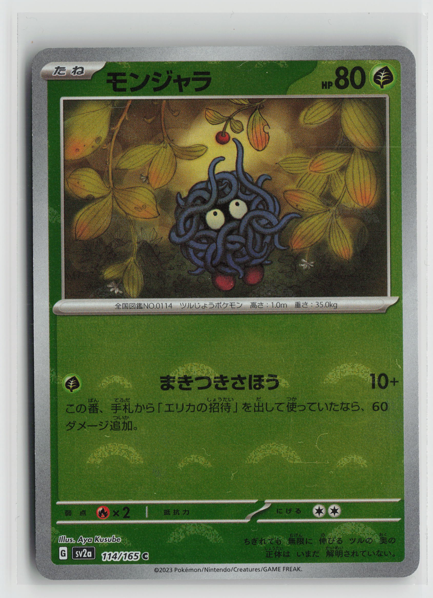 Tangela - (Poke Ball Pattern) Common SV2a: Pokemon Card 151 114/165 NM
