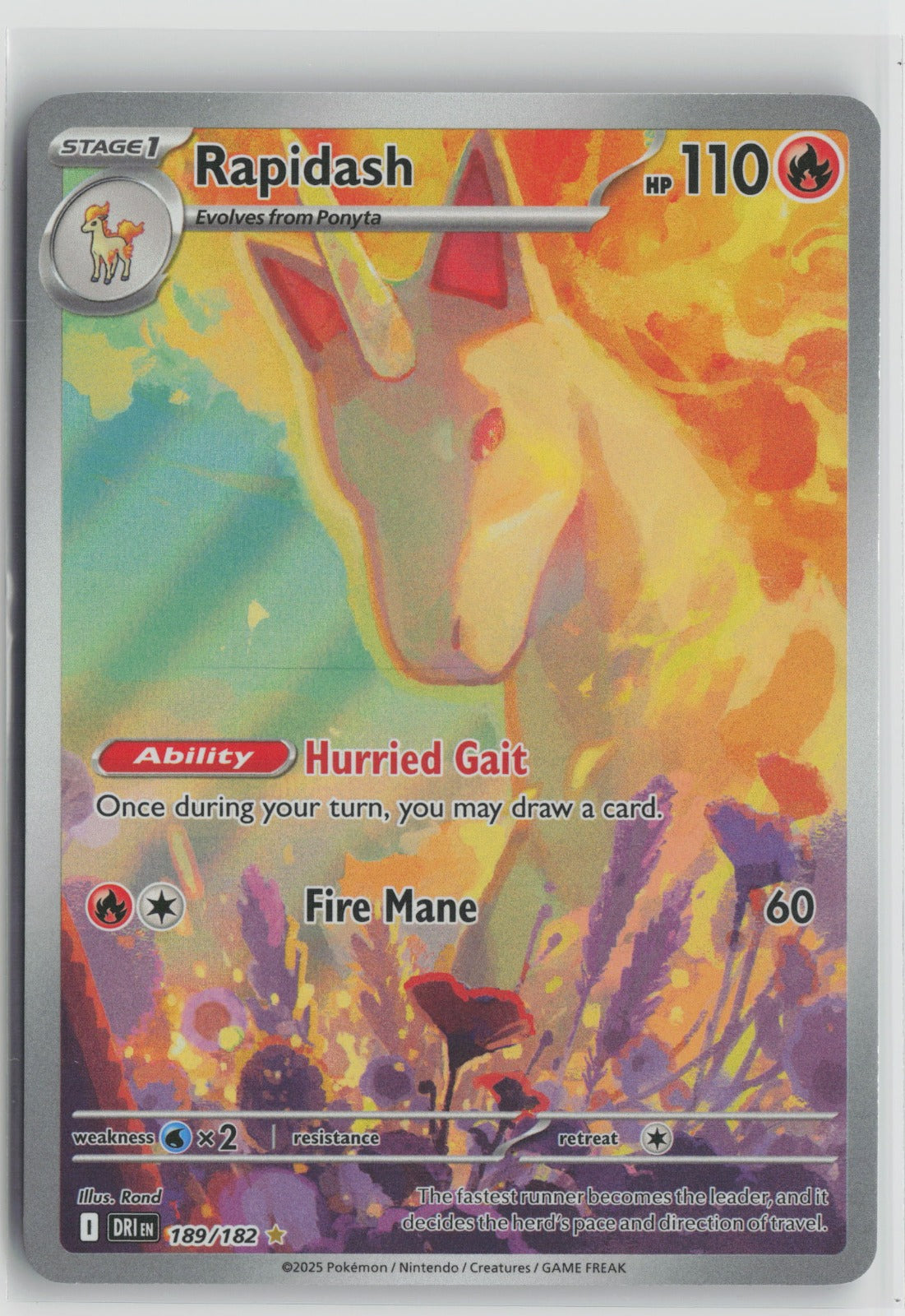 Rapidash Illustration Rare Holo DRI 189/182 NM