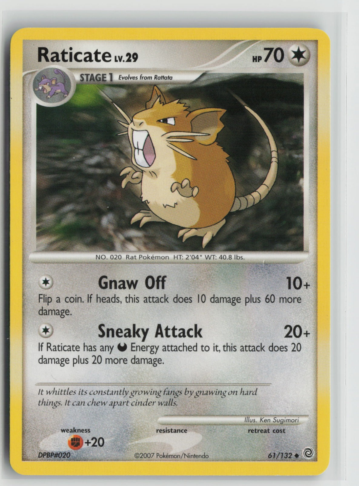 Raticate Uncommon SW 61/132 LP