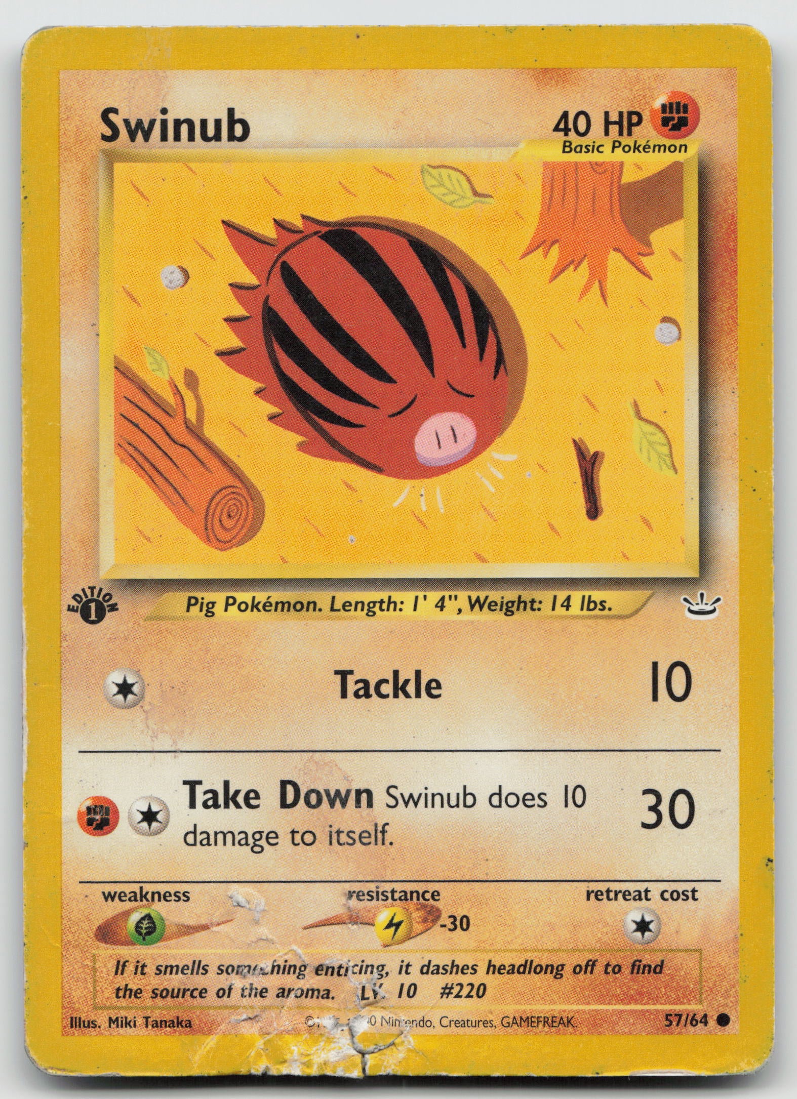 Swinub Common 1st Edition N3 57/64 HP