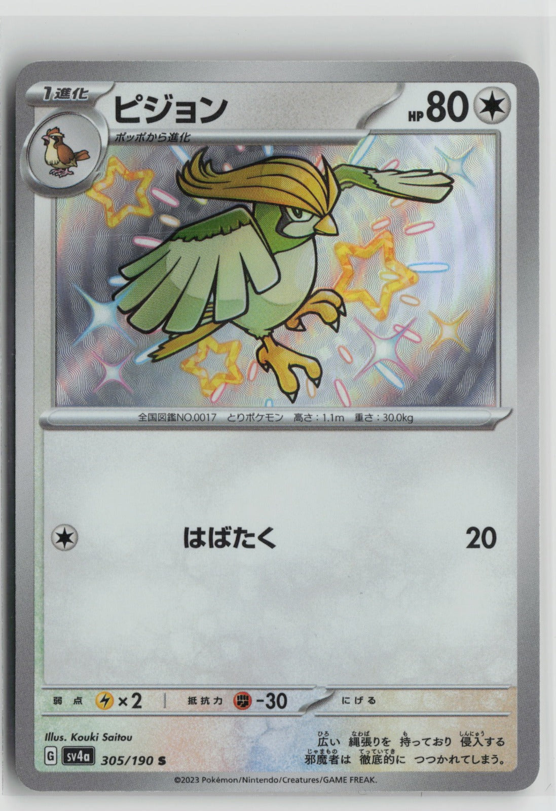 Pidgeotto - Shiny Rare Holo SV4a 305/190 NM