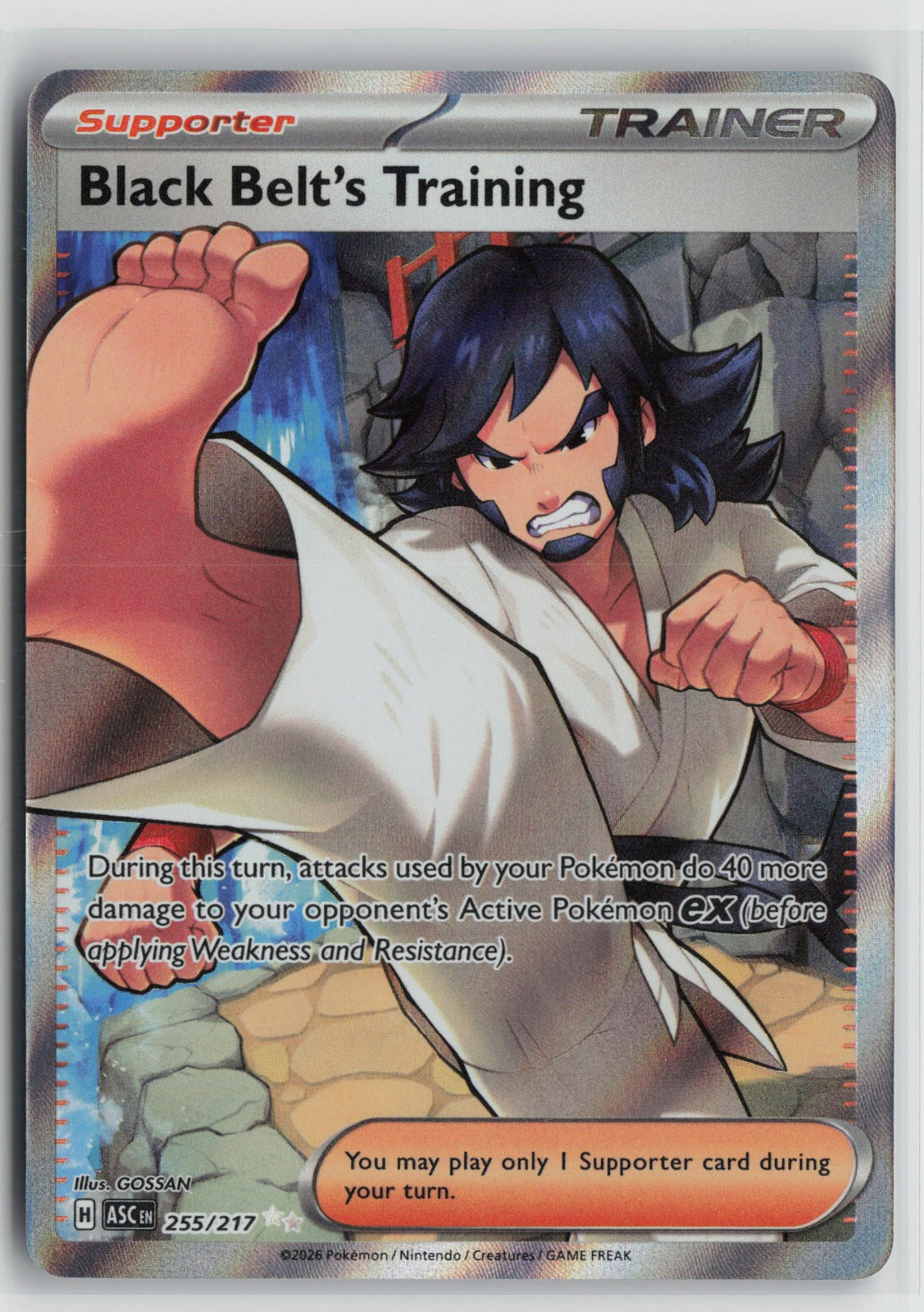 Black Belt's Training Ultra Rare Holo ASC 255/217 NM