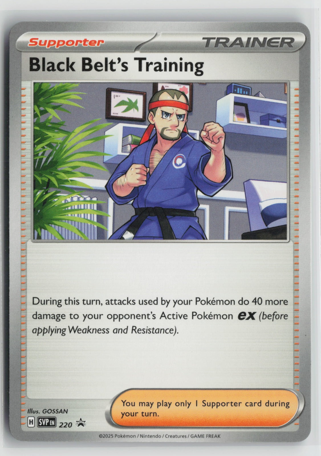 Black Belt's Training - Promo SVP 220 NM