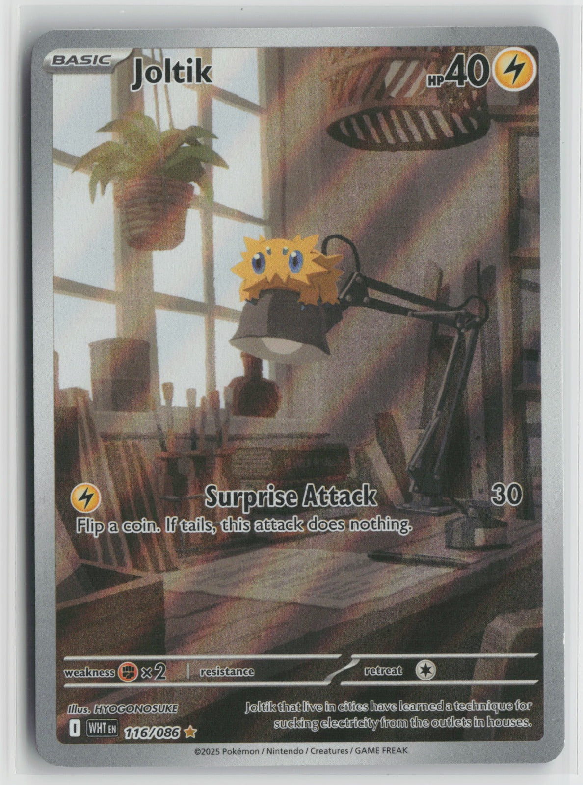 Joltik Illustration Rare Holo WHT 116/086 NM