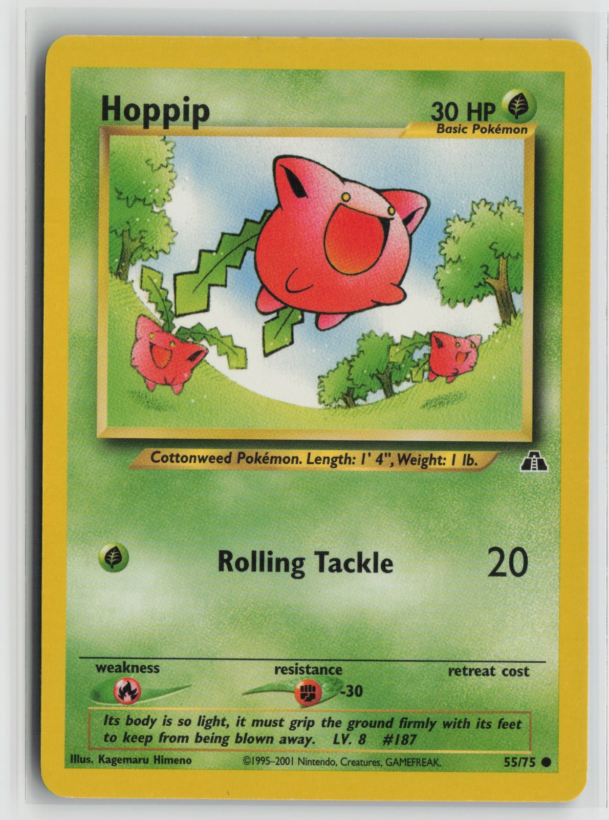 Hoppip Common Unlimited N2 55/75 LP