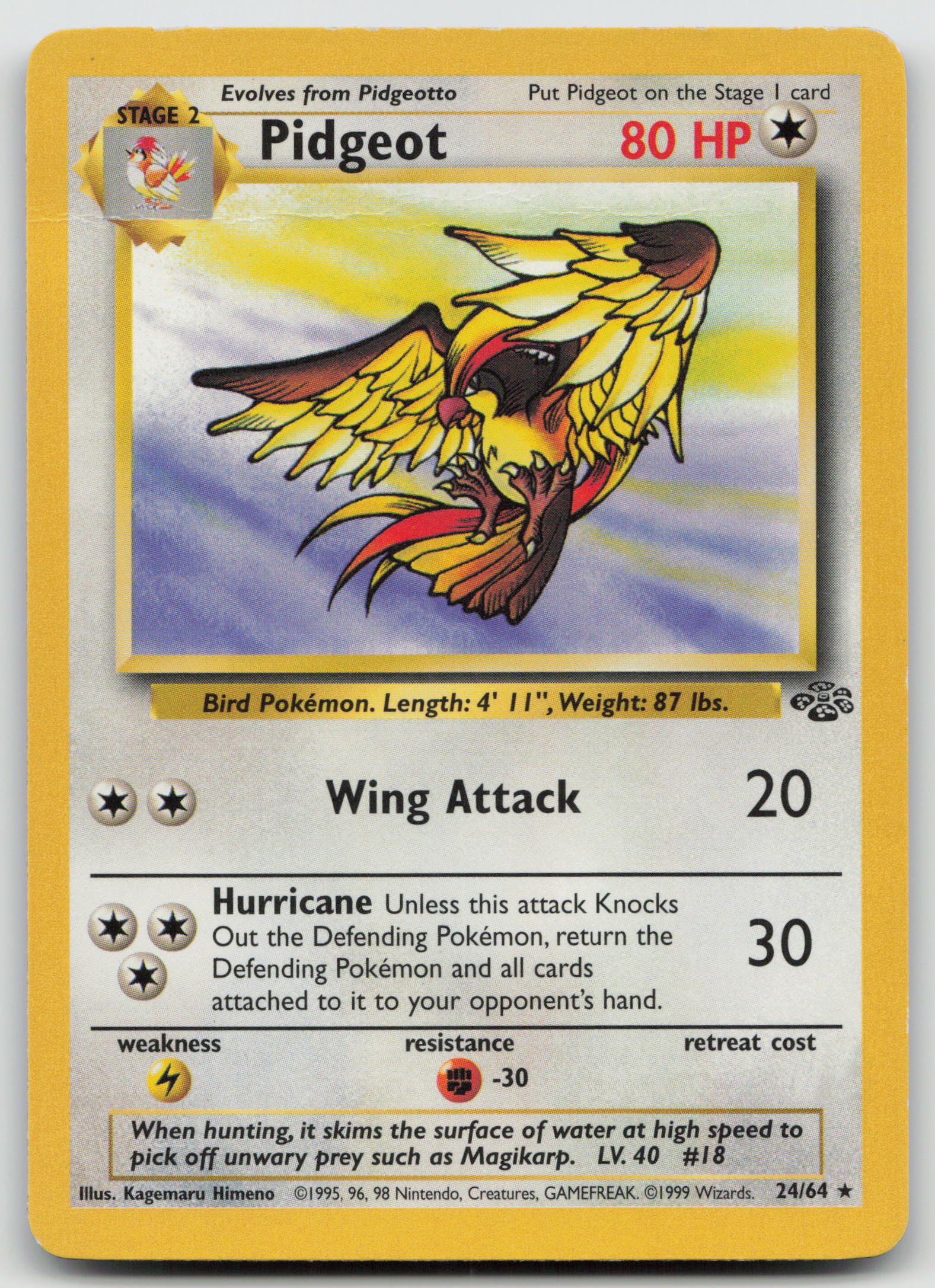 Pidgeot (24) Rare Unlimited JU 24/64 HP