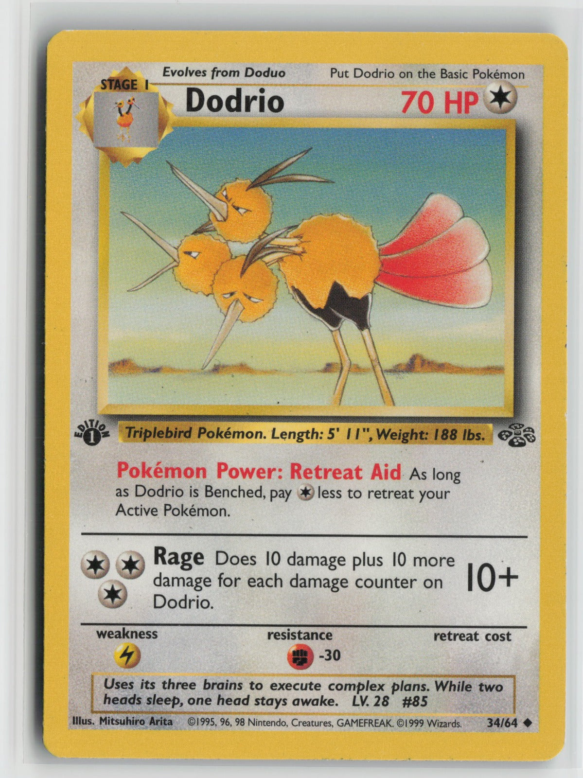 Dodrio Uncommon 1st Edition JU 34/64 LP