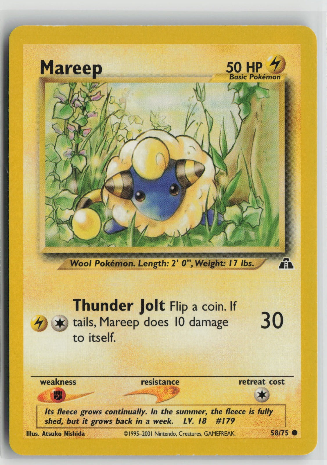 Mareep Common Unlimited N2 58/75 LP