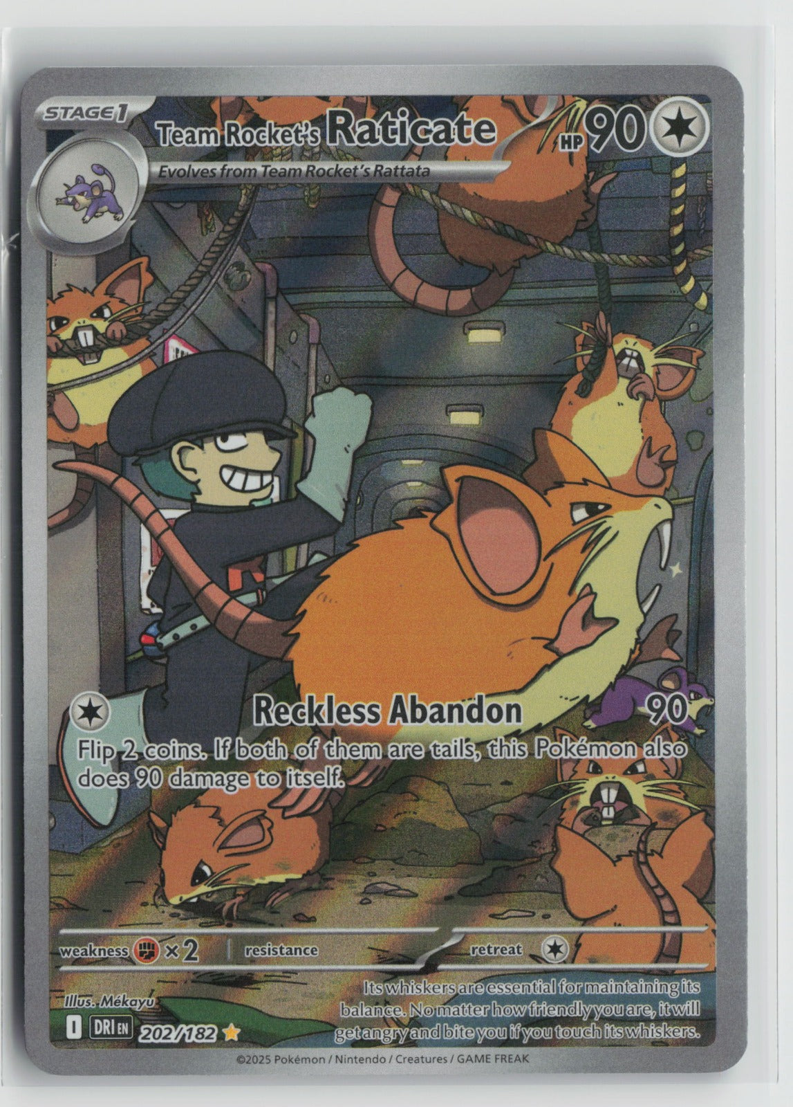 Team Rocket's Raticate Illustration Rare Holo DRI 202/182 NM