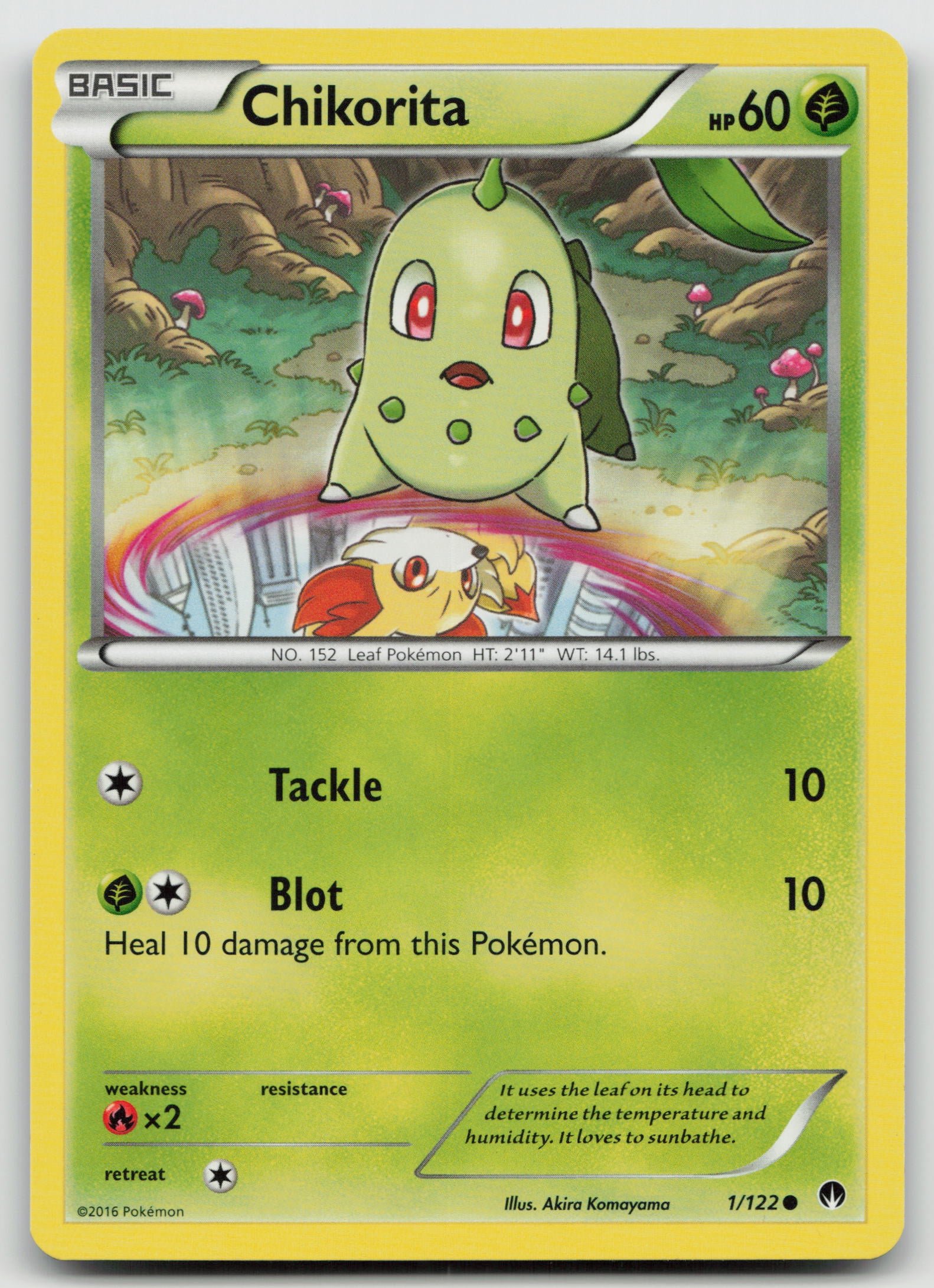 Chikorita Common Normal BKP 1/122 NM