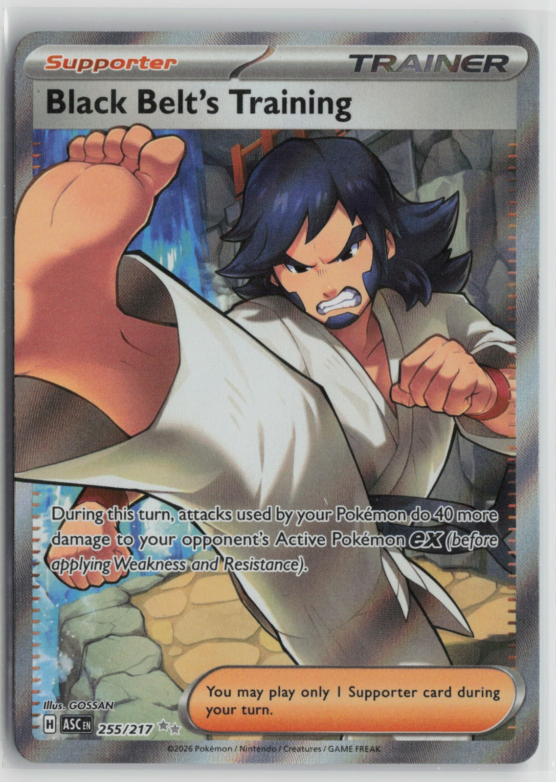 Black Belt's Training Ultra Rare Holo ASC 255/217 NM